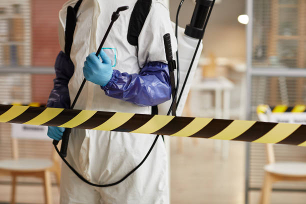Professional Odor Removal technician working in Little Falls, MN