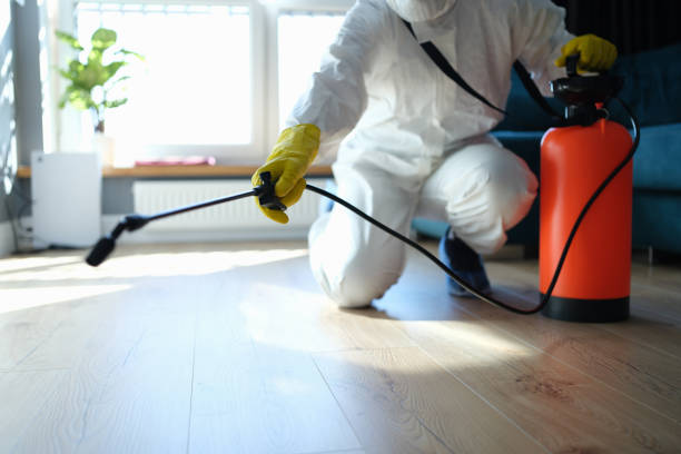 Reliable Odor Removal contractor in Little Falls, MN by Trauma Clean Pros